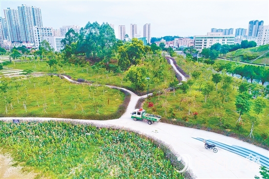 鹤山市聚焦城市交通重要点位，科学规划，打造鹤山文化中心绿美鹤山示范点等，带动城乡一体绿美提升。