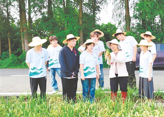 李苏红为队员们介绍水稻生长各个环节的特点与注意事项。 李苏红为队员们介绍水稻生长各个环节的特点与注意事项。