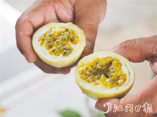 切开黄金百香果，酸甜的香气扑面而来，十分诱人。