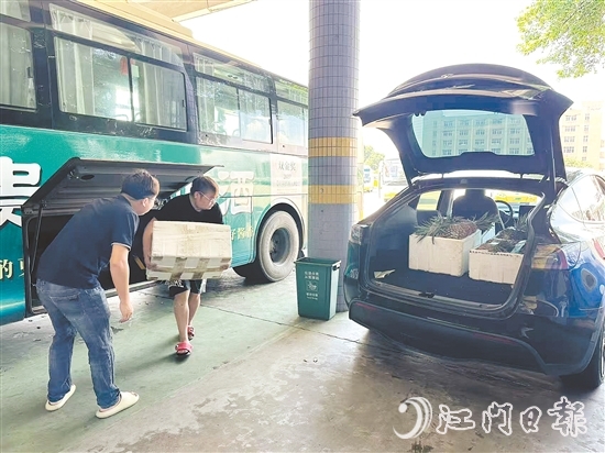 公交车司机及时将农产品运送至鹤山汽车总站，交由鹤山市供销社工作人员分拨至合作商超与社区自提点等。