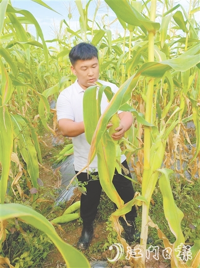 吴伟光的故事是新时代青年扎根乡土的生动注脚，也是乡村振兴大潮中万千返乡青年拼搏奋进的真实写照。