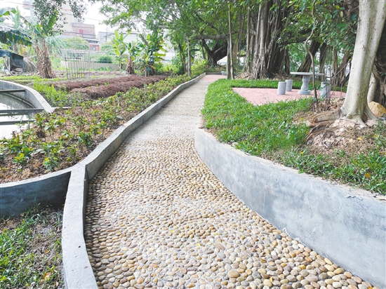 恩平自然村公园里装设了石凳、石桌、鹅卵石健身路等设施，为村民提供更多的文化活动选择。