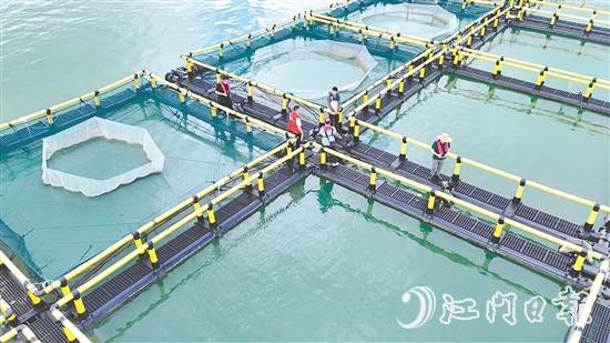 台风到来前，江门人保财险理赔人员奔赴川岛沿岸海洋牧场，勘察安全隐患。