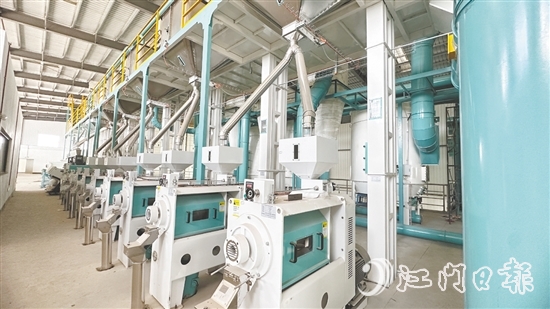 赤水镇水仔口健康食品产业园吸引多家优质企业入驻。图为金箩米业的丝苗米优势特色产业集群项目,目前进入设备调试阶段。 赤水镇水仔口健康食品产业园吸引多家优质企业入驻。图为金箩米业的丝苗米优势特色产业集群项目,目前进入设备调试阶段。