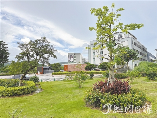 口袋公园不仅为社区拓展了绿色空间,更成了居民茶余饭后的休闲新去处。 口袋公园不仅为社区拓展了绿色空间,更成了居民茶余饭后的休闲新去处。