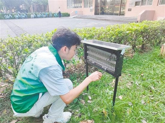 五邑大学志愿者在户外投放人体气味仿生蚊虫诱捕剂。