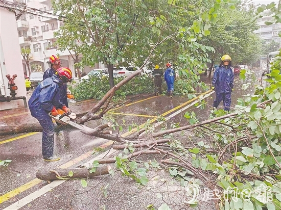 江南街道工作人员清理倒伏树木。 江南街道工作人员清理倒伏树木。
