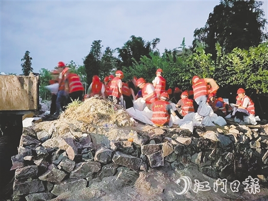 台风来临前,在西江大堤重要点位,工作人员装好4000个沙袋严阵以待。 台风来临前,在西江大堤重要点位,工作人员装好4000个沙袋严阵以待。