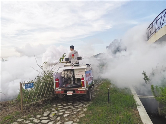 开平市塘口镇通过多种方式应用烟雾机灭蚊。图为烟雾机搭配农用车对蚊虫进行灭杀。 开平市塘口镇通过多种方式应用烟雾机灭蚊。图为烟雾机搭配农用车对蚊虫进行灭杀。