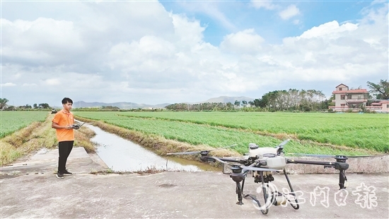 台山组织无人机机手分赴各村,争分夺秒推进晚稻喷药施肥工作。 台山组织无人机机手分赴各村,争分夺秒推进晚稻喷药施肥工作。