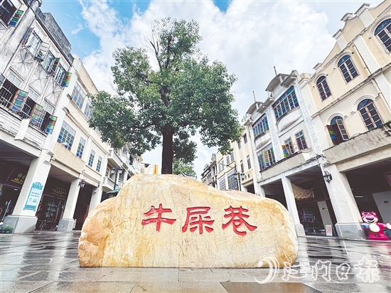 台山的“牛屎巷”出现在《捕风追影》电影镜头中。 台山的“牛屎巷”出现在《捕风追影》电影镜头中。