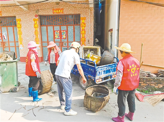 开平龙胜镇党员群众志愿服务队开展“两清一灭”大行动，党员干部带着群众干。