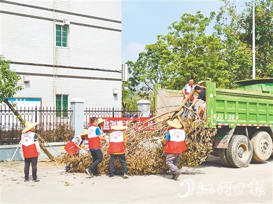 大槐镇各级人大代表积极参与环境卫生整治工作，清除蚊虫孳生点。
