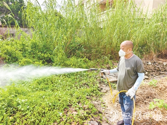 冯伙强改装的喷雾器灭蚊效果良好，广受村民称赞。
