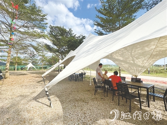 生态园新开辟的露营区。