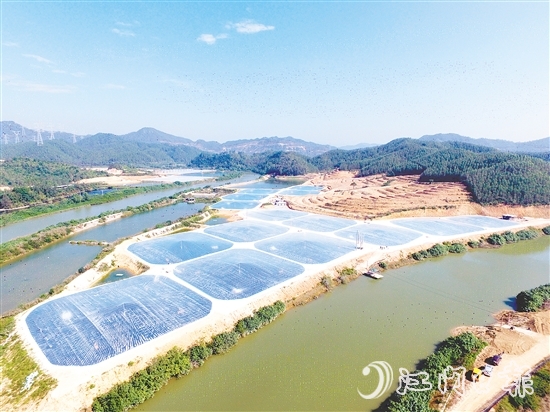 近年来，恩平市大力发展现代农业与食品产业集群。图为位于横陂镇蓝田村的恩平市镇海湾蓝田青蟹养殖基地。胡伟杰