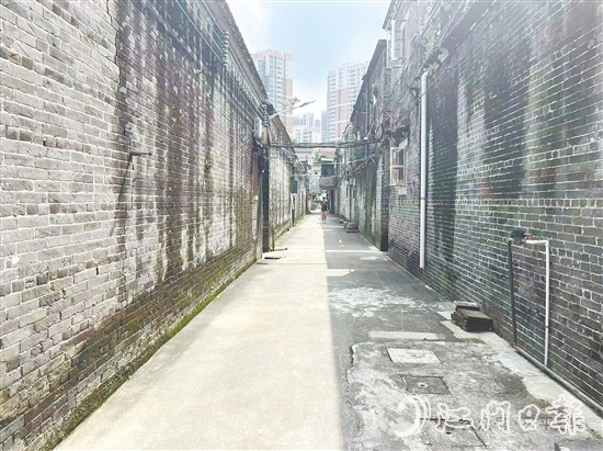 曾经的“垃圾巷”变得干净整洁。 曾经的“垃圾巷”变得干净整洁。