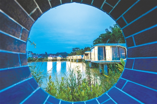 御龙星空民宿营地集农耕体验、星空露营、趣味垂钓、篝火烧烤、艺术写生等多元业态于一体。