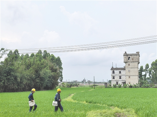 旅游旺季来临前，开平供电局加强文旅重镇值班值守，保障用电安全。陈小骞