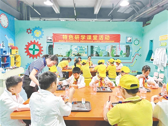 每个学期，交贝石小学都会组织学生参加特色研学活动。