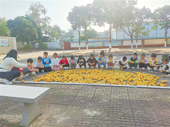 孩子们将剥好的柑皮均匀铺在晒场上。