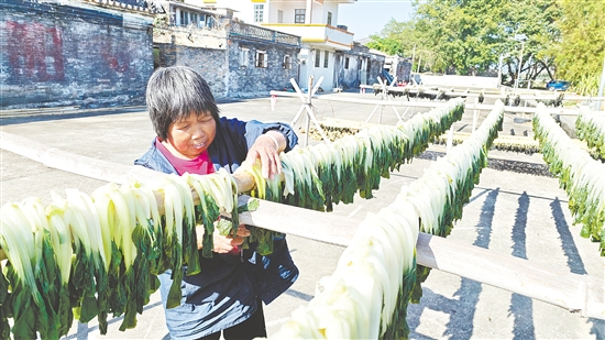 在水步镇罗边永乐村，一幅幅生动的“晒秋图”正在上演。