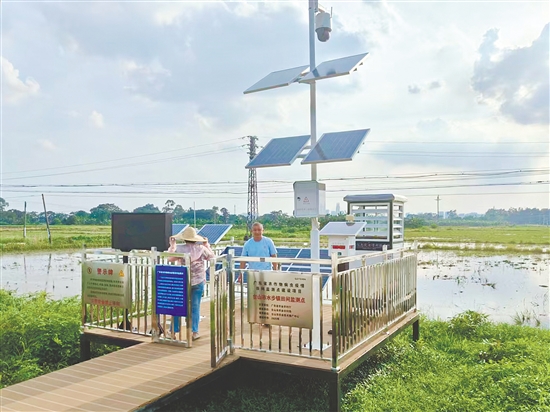 台山市着力打造全域覆盖的智能监测网络，让“慧眼”遍布田间地头。