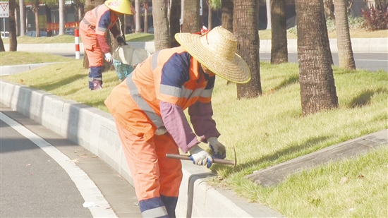 环卫工人仔细清理绿化带、沟渠杂草。 环卫工人仔细清理绿化带、沟渠杂草。