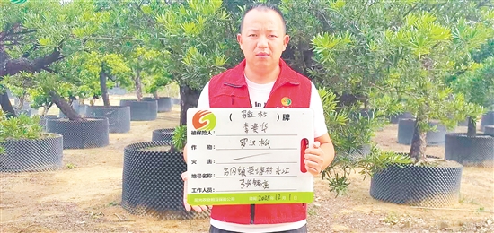 工作人员为种植户办理花卉苗木气象指数保险承保出单。