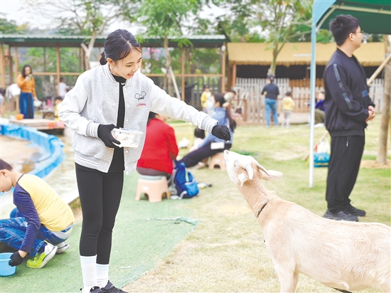 在江门版“疯狂动物城”里，小朋友与小动物亲密互动，感受现实中的童趣与奇妙。