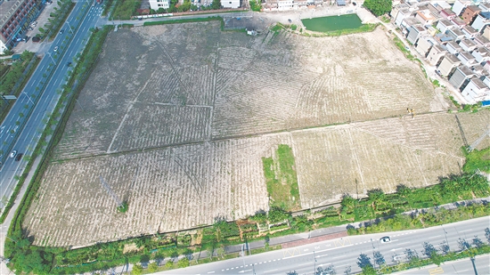 今年9月，开平市富元房地产开发有限公司以总价1.1亿元拿下开平市长沙街道楼冈大道24号地块。