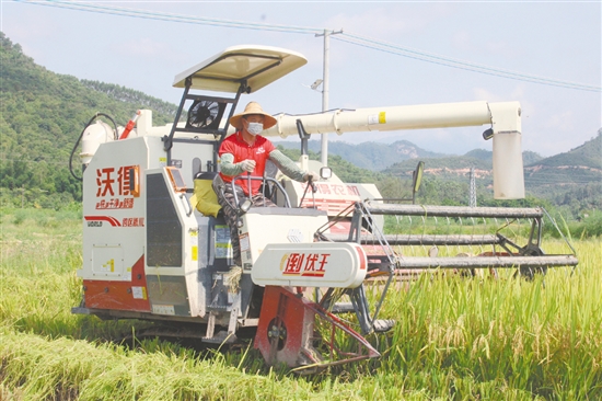 恩平市社村合作农业发展有限公司提供全程社会化服务，提高农业生产机械化水平。