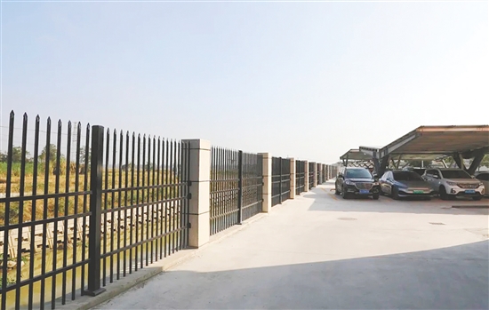 开平市第一中学北侧围墙蜕变为“安心墙”。 开平市第一中学北侧围墙蜕变为“安心墙”。