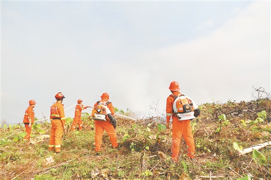 演练共设置着火点6处，模拟过火面积约4公顷（60亩），图为救援队伍开展森林灭火作业。