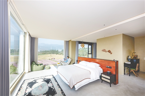 小新民宿与丛林、稻田、大山等自然景观融为一体，让游客最大限度感受自然的魅力。