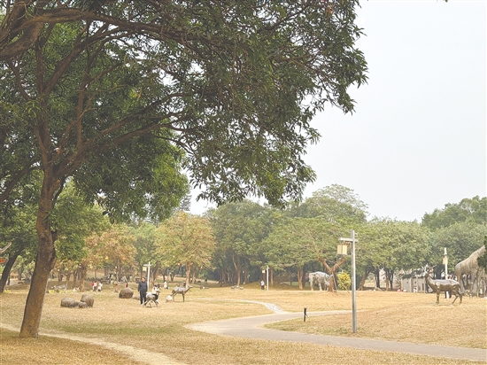 在恩平鳌峰山公园享受柔和暖阳。