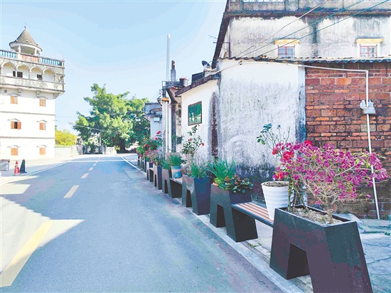 强亚村随处可见花卉绿植。 强亚村随处可见花卉绿植。