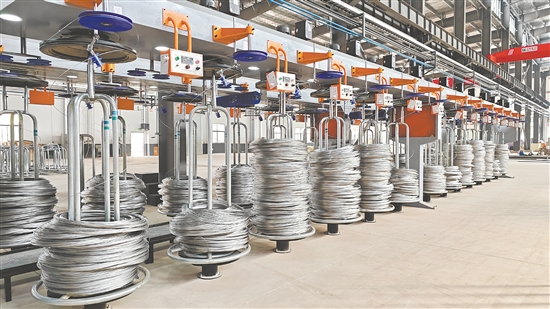 台山项目建设势头良好。图为腾龙精线项目投产。