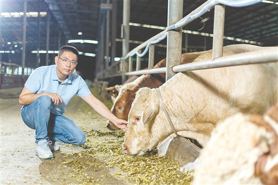 温伟文，鹤山市旺牛世家农业科技有限公司总经理，他带领企业成为省级重点农业龙头企业，打造“文化+产业+协作”全产业链模式，积极投身粤桂协作，为乡村振兴作出积极贡献。