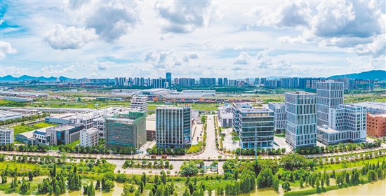 新会区形成“快动工、快建设、快投产”闭环机制，让产业动能迅速释放。