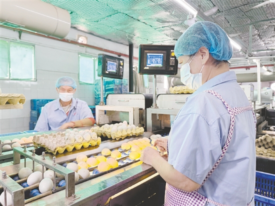 龚边村推动咸蛋特色产业做大做强。