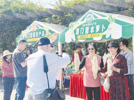 新会崖门第十三届甜水萝卜季吸引很多游客到现场采摘萝卜。 新会崖门第十三届甜水萝卜季吸引很多游客到现场采摘萝卜。