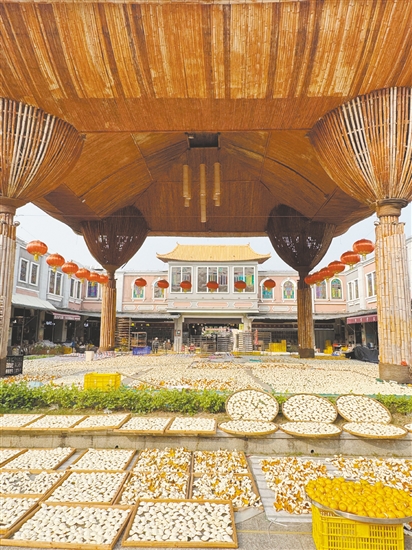 每到冬季,新会陈皮村的空地上都在晒陈皮。 每到冬季,新会陈皮村的空地上都在晒陈皮。