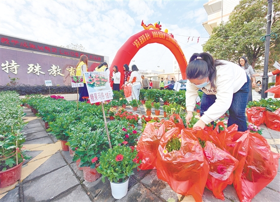 市民穿梭于花丛间,精心挑选心仪的花卉。 市民穿梭于花丛间,精心挑选心仪的花卉。