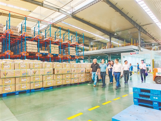 陈黎阳（左一）带着客商到企业参观。