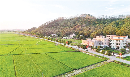 冲金村高质量完成高标准农田改造工程，让灌溉水系与田园风光相融合。