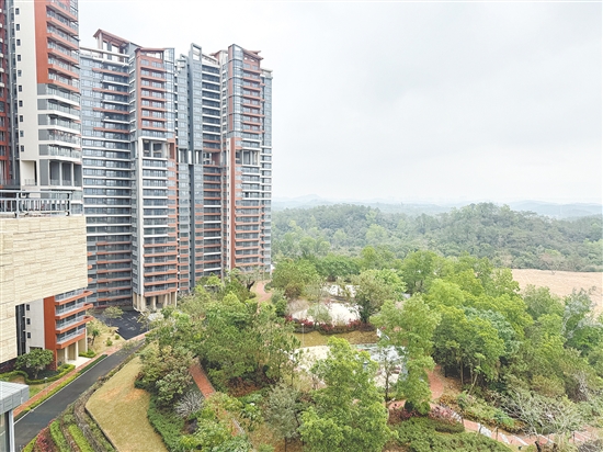 粤港澳医康养联动项目落地三合镇。