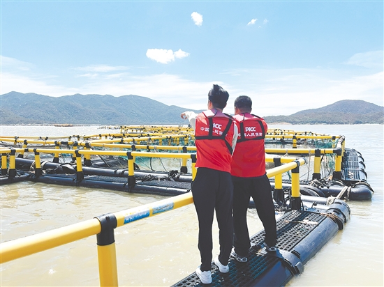 “桦加沙”过境后，该公司农险理赔人员抢抓时间到海洋牧场查勘定损。