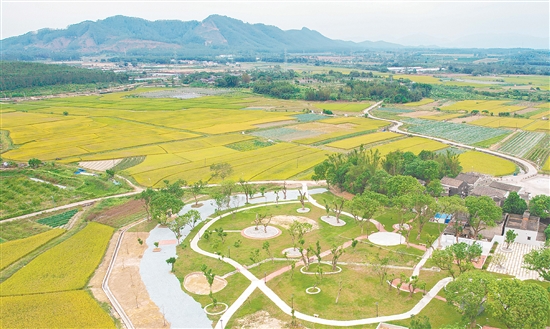 冲蒌镇深入开展农村人居环境整治，推进“三清三拆三整治”，实现“拆后即建、拆建同步”，塑造特色乡村风貌。