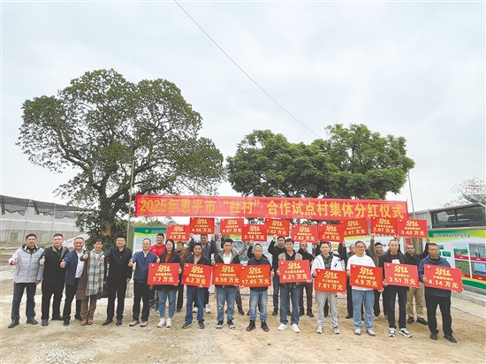 在2月9日举行的分红仪式上，19个试点村喜获100万元分红。